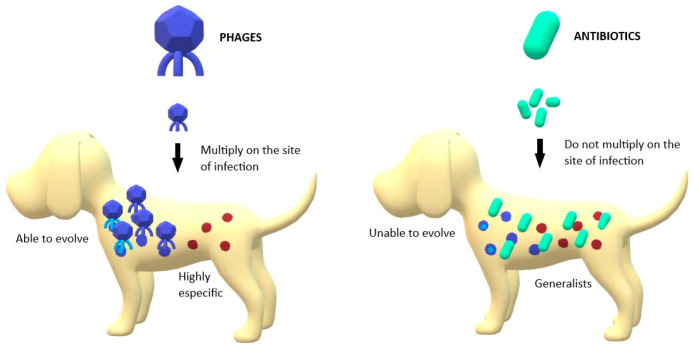 An external file that holds a picture, illustration, etc.
Object name is antibiotics-10-00559-g001.jpg